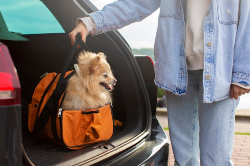 Pet Boarding