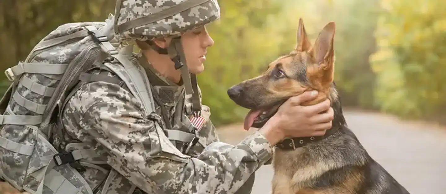 How Veteran Fundraisers Help Provide Essential Resources for Veterans