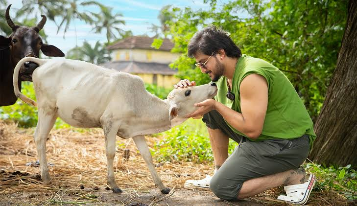 Animal Care