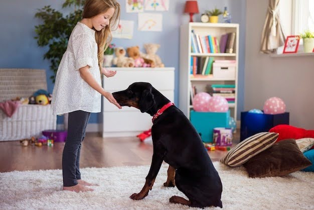 Puppy Obedience Class